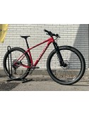 USATO Specialized Epic HT